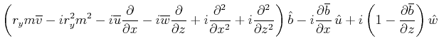 $\displaystyle \left(r_ym\overline{v}-ir_y^2m^2-i\overline{u}\frac{\partial }{\p...
...ial x}\,\hat{u}+i\left(1-\frac{\partial \overline{b}}{\partial z}\right)\hat{w}$